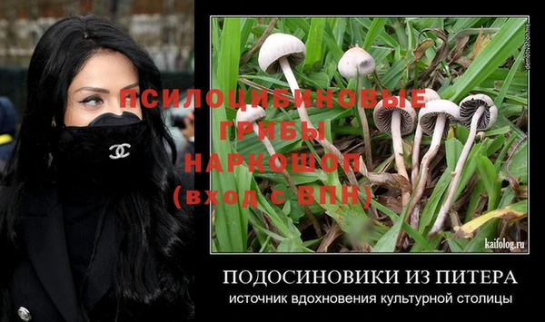 кокаин Белокуриха