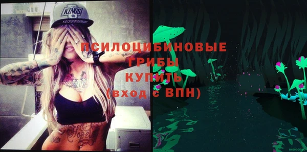 кокаин Белокуриха